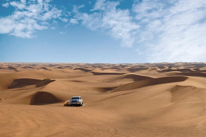 Dubai Desert Safari with Dune Bashing, Camel Rides & BBQ - Belly dance, Tanoura dance, and the night show vibe