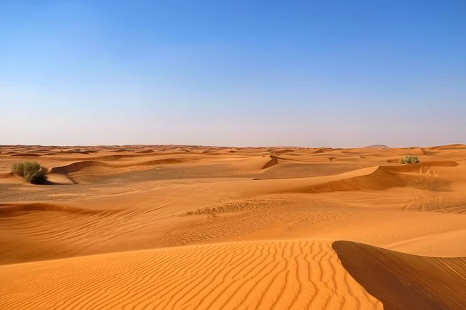Dubai Desert Safari with Dune Bashing, Camel Rides & BBQ - Sunset photo stop on the sand dune summit