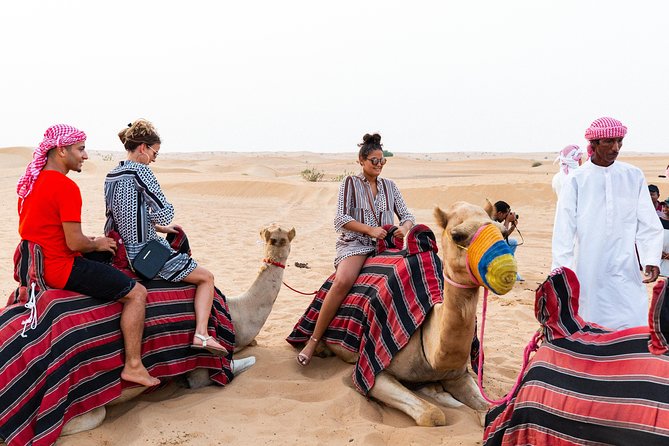 Dubai Desert Safari with Quads, BBQ Dinner, Camel ride, & Shows - 4x4 Dune Bash: The Part That Turns a Tour Into a Memory