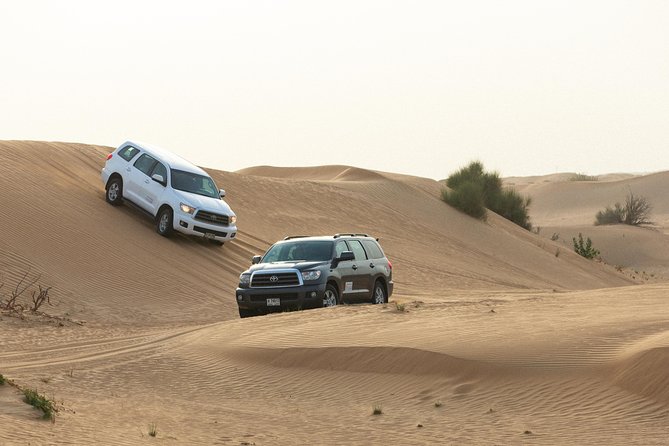 Dubai Desert Safari with Quads, BBQ Dinner, Camel ride, & Shows - The BBQ Dinner and Starlit Show Mix: Belly Dancing Plus Tanoura