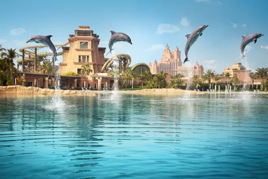 Dubai: Dolphin Encounter & Aquaventure Waterpark Ticket - Aquaventure Waterpark next: Leap of Faith and Odyssey of Terror