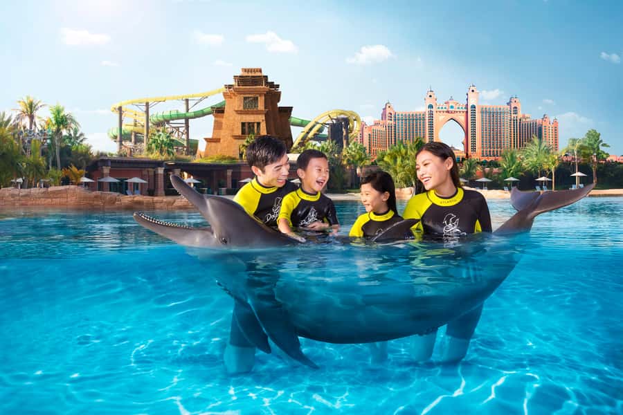 Dubai: Dolphin Encounter & Aquaventure Waterpark Ticket - What the 30-minute dolphin interaction feels like in shallow water