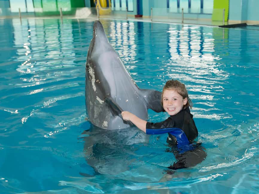 Dubai: Dubai Dolphinarium Dolphin, Seal & Bird Show Tickets - Price value: $25 tickets versus the AED 5 Creek Park fee