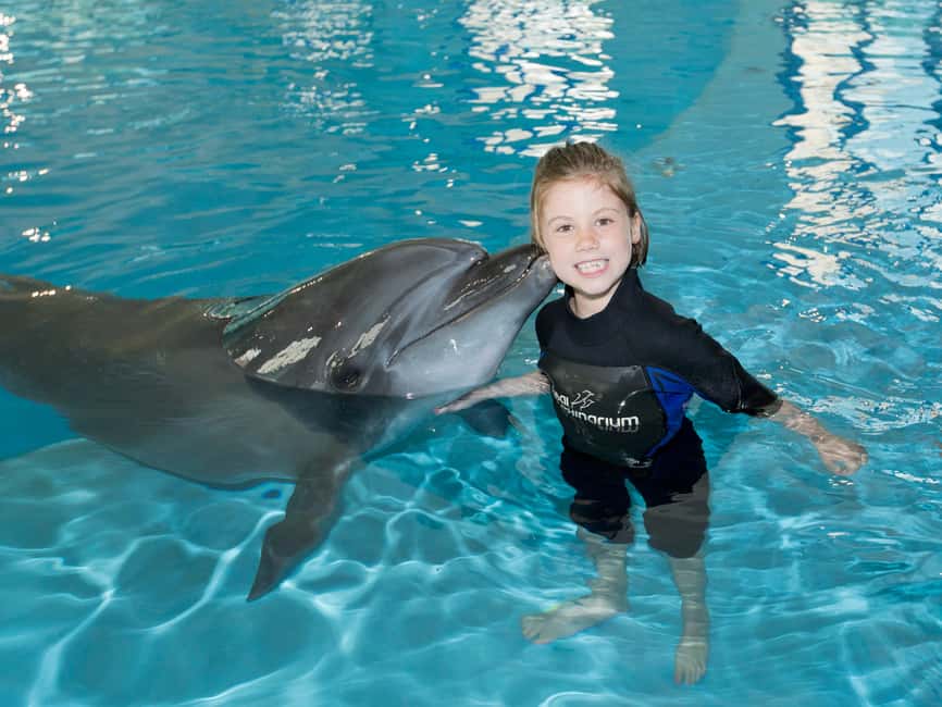 Dubai: Dubai Dolphinarium Dolphin, Seal & Bird Show Tickets - Timing in Dubai: a smart couple of hours, then walk Creek Park
