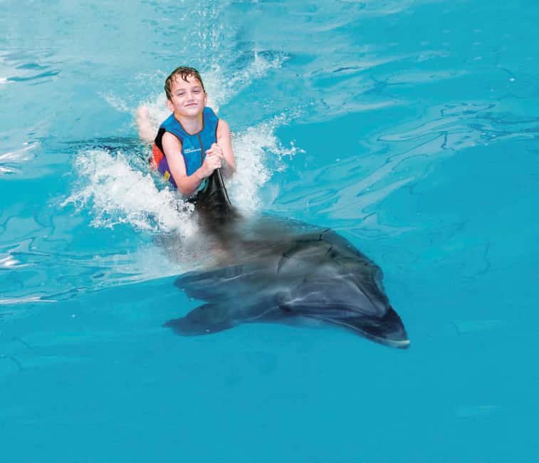 Dubai: Dubai Dolphinarium Dolphin, Seal & Bird Show Tickets - Who should book this, and who should skip