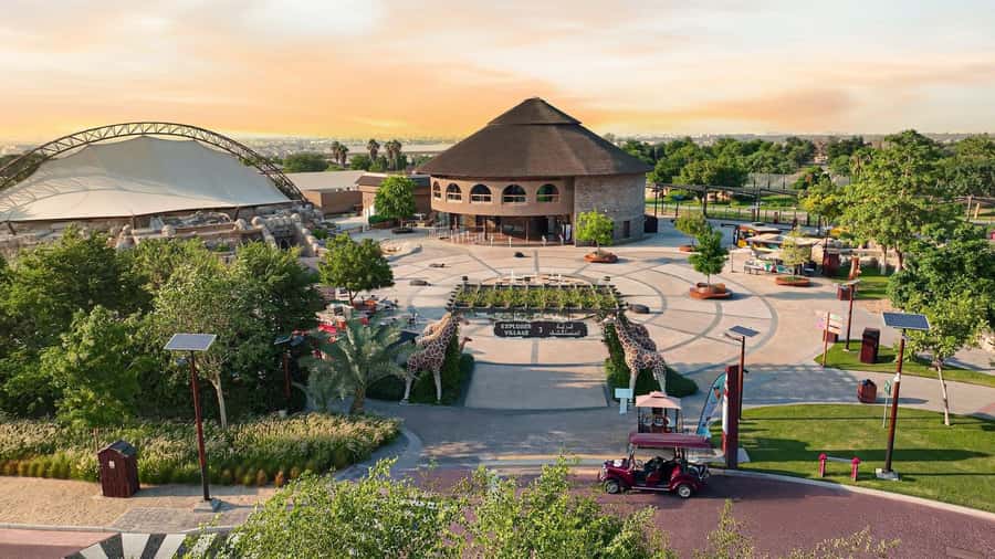 Dubai: Dubai Safari Park Entry Pass - Shows, Talks, and Feeding: How to Time Your Day