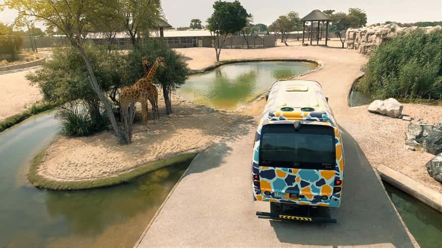 Dubai: Dubai Safari Park Entry Pass - Getting There and Getting Around: No Hotel Pickup, Lots of Space