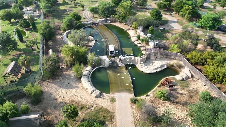Dubai: Dubai Safari Park Entry Pass - How Much Time You Actually Need (And Why Most People Underestimate It)