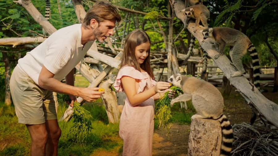 Dubai: Dubai Safari Park Entry Pass - Who Should Book This Dubai Safari Park Entry Pass