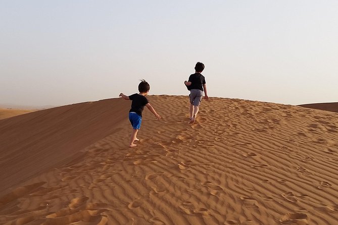 Dubai Dune Bashing Safari With BBQ Dinner, Entertainment and Camel Ride - From Dubai Pickup to Desert Quiet
