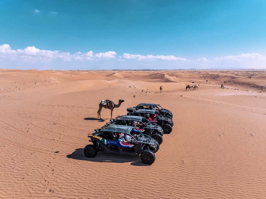 Dubai Dune Buggy Adventure: Off-Road Driving Experience - Key takeaways before you go