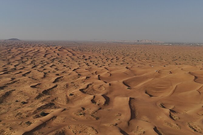 Dubai: Dune Buggy Safari and Camel Ride with Transportation - Price and value for $245 per group up to 2: what you’re really paying for