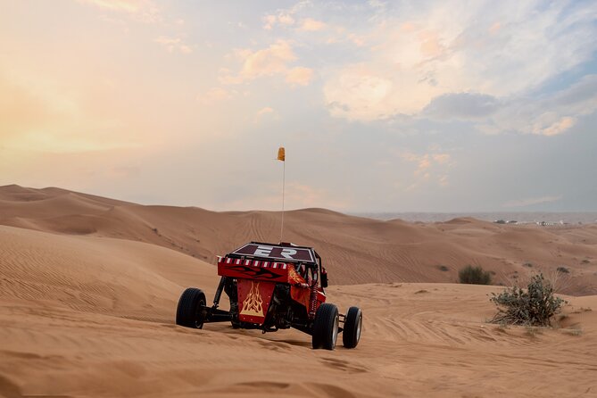 Dubai Dune Buggy Safari Tour in Red Dunes Options - Who This Tour Fits Best and Who Should Skip It