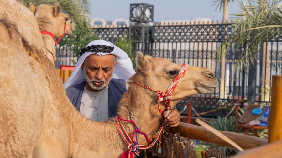 Dubai: Emirati Cultural Experience with Emirati Meal - Key things to love about this Emirati cultural experience