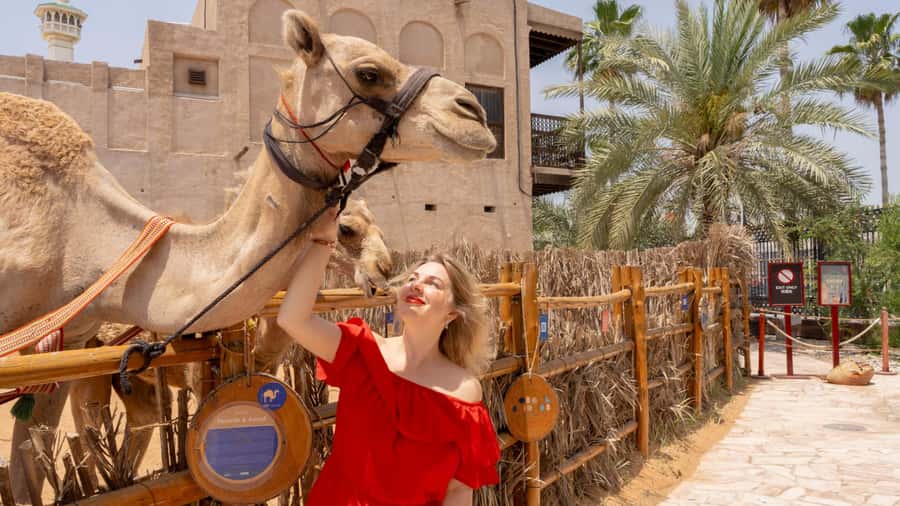Dubai: Emirati Cultural Experience with Emirati Meal - Comfort, timing, and logistics that actually matter