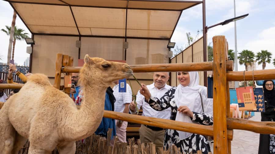 Dubai: Emirati Cultural Experience with Emirati Meal - What the price of $71 buys you in real terms