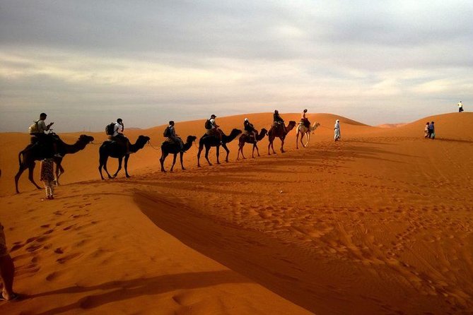 Dubai Evening 4x4 Desert Safari ATV Bike ,Camel Ride , BBQ Dinner - Live shows at the camp: belly dance, Tanura, fire, and Al Ayyala