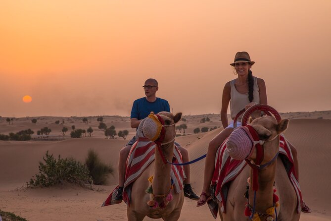 Dubai: Evening Camel Caravan, Bedouin Dinner at Al Marmoom Oasis - Key highlights