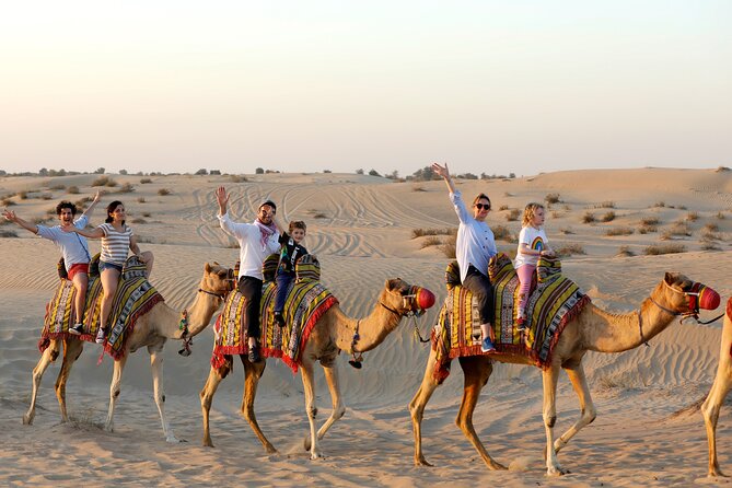 Dubai: Evening Camel Caravan, Bedouin Dinner at Al Marmoom Oasis - Dinner Details: BBQ Dinner Plus a Full Three-Course Setup