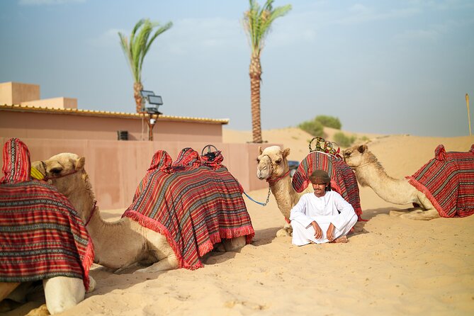 Dubai Evening Desert Safari BBQ Dinner & Transfer to Noble Camp - Price and value: what about $79.82 feels fair