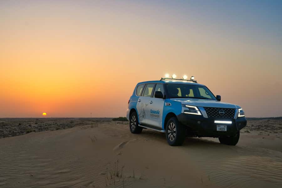 Dubai: Evening Desert Safari with Camel Ride & Stargazing - Key things I’d bet you’ll care about