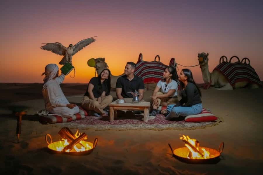 Dubai: Evening Desert Safari with Camel Ride & Stargazing - Price and value for a 4 to 5 hour Dubai night safari