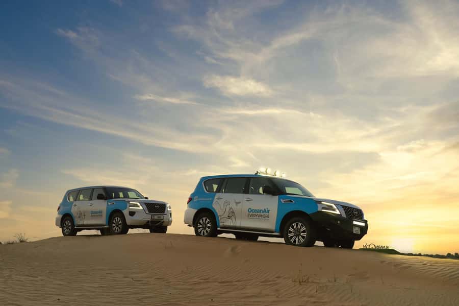 Dubai: Evening Desert Safari with Camel Ride & Stargazing - Moonlit desert activities and what the “green” oasis really adds