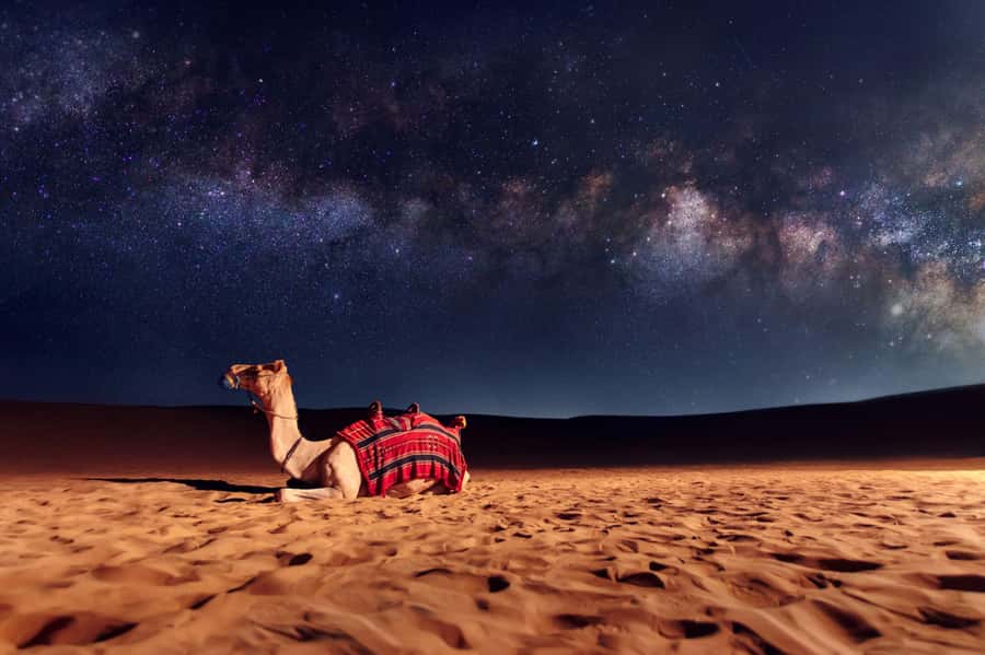 Dubai: Evening Desert Safari with Camel Ride & Stargazing - Extended package: BBQ dinner and how to choose your evening