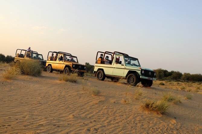 Dubai Evening Heritage Safari by Vintage G Class Al Marmoom Oasis - Al Marmoom Conservation Reserve and the Wildlife-Spotting Moment