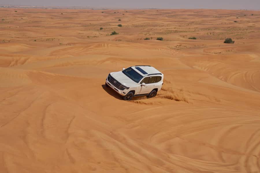Dubai: Exclusive VIP Desert Safari Dinner with Live Show - The Noble Camp Souq: camel moments, henna, falcon, and shisha