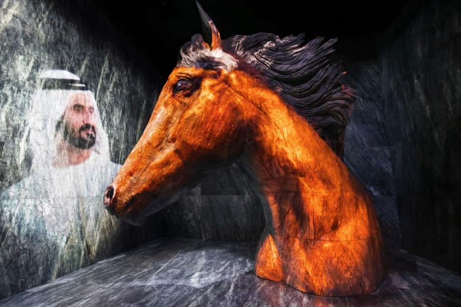 Dubai: Expo City Attractions Pass - Who this pass is best for (and who should think twice)