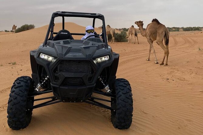 Dubai: Extreme Red Dune Buggy Desert Safari Adventure - What to expect in the itinerary, without the fluff