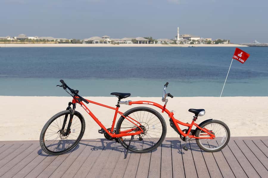 Dubai: Family-friendly Bike Adventure - Reliability check: what to watch for before you roll