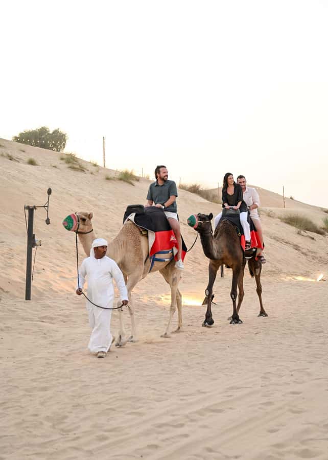 Dubai Fort Lisaili Desert: Quad, Buggy Ride & Free Souvenir - Dune bashing, quad rides, and dune buggy thrills, with age and speed reality