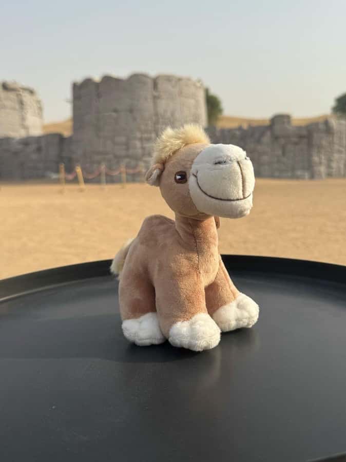 Dubai Fort Lisaili Desert: Quad, Buggy Ride & Free Souvenir - Who this is best for, and who should book something else