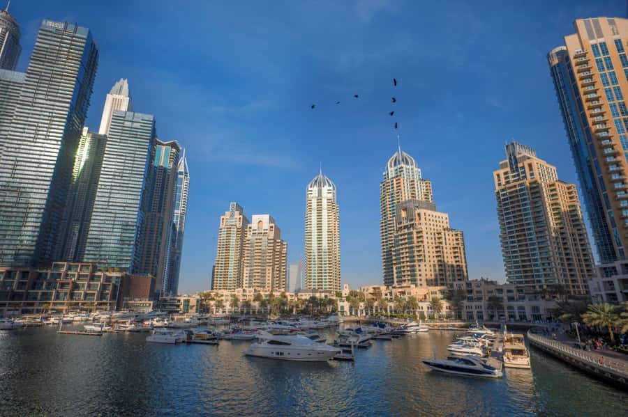 Dubai Full-Day Tour: Mosque, Souks, Burj Khalifa photo stop - Al Fahidi District and Dubai Creek, the Abra ride you will remember