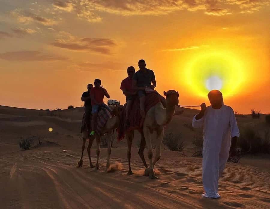 Dubai: Guided Dune Buggy Driving Experience in the Desert - Safety, Responsibility, and Who Should Skip This One
