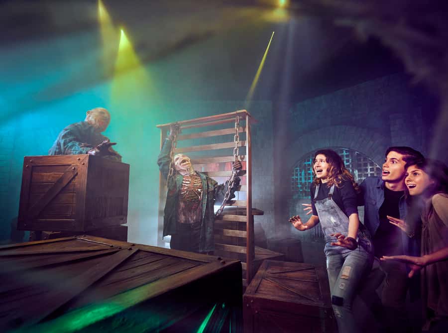 Dubai: Guided Sightseeing Tour and IMG Theme Park Ticket - Haunted Hotel maze energy: when the park slows your brain