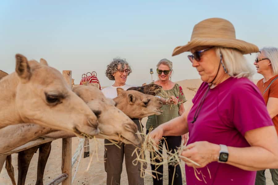 Dubai: Half-Day Camel Trekking with Al Marmoom Breakfast - Bedouin Breakfast Spread: Bread, Sweets, and Real Desert Fuel