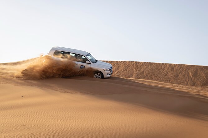 Dubai Half-day Red Dunes bashing with Sandboarding, Camel &Falcon - Dune bashing: the core adrenaline you’ll remember