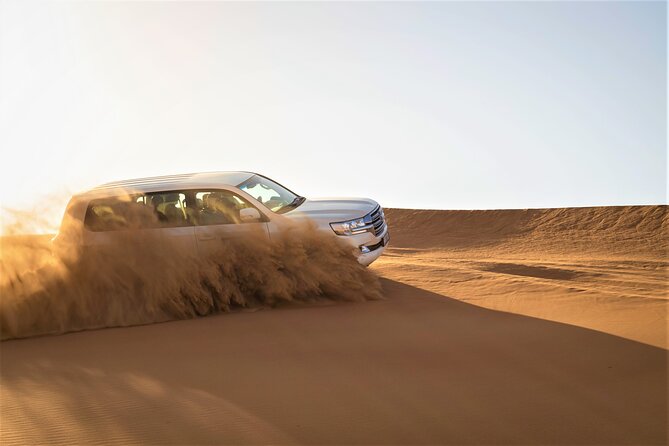Dubai Half-day Red Dunes bashing with Sandboarding, Camel &Falcon - Drinks, comfort, and what to plan for on a half-day safari