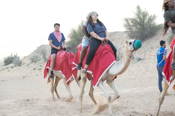 Dubai Half-day Red Dunes bashing with Sandboarding, Camel &Falcon - Getting from Dubai to Lahbab in an AC Land Cruiser