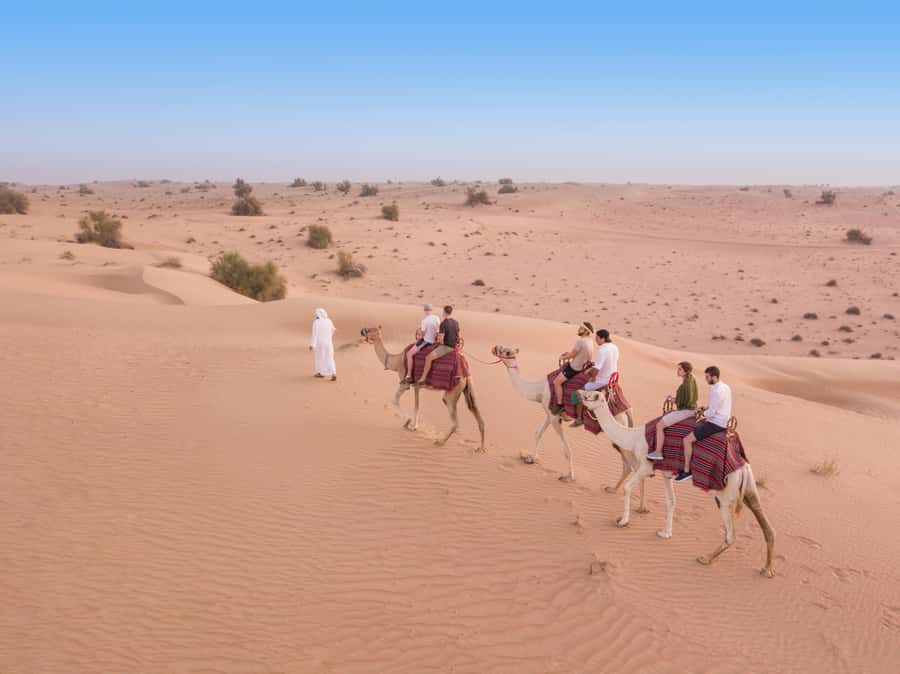 Dubai: Heritage Camel Desert Safari with Traditional Dinner - Key Points Worth Knowing Before You Go
