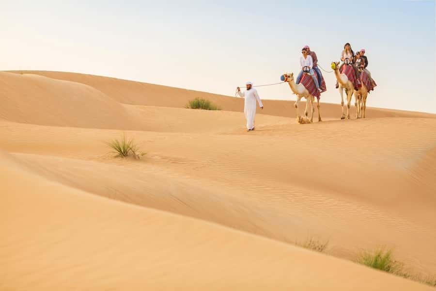Dubai: Heritage Camel Desert Safari with Traditional Dinner - Who Should Book This Camel Desert Safari, and Who Should Skip It