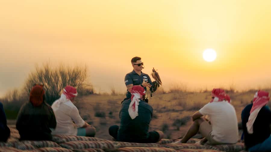 Dubai: Heritage Safari in Vintage Land Rover with Dinner - Sunset Falconry: Why Timing Is the Whole Point