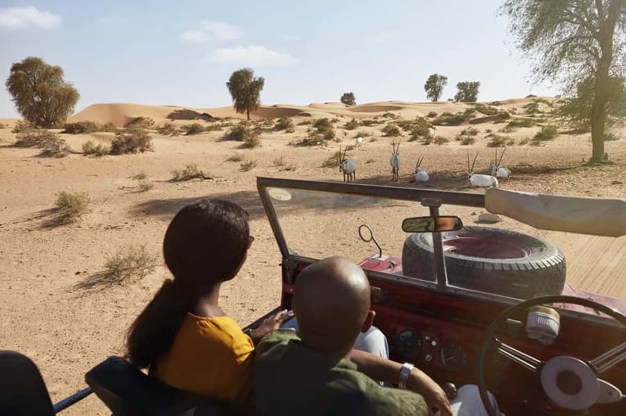 Dubai: Heritage Safari in Vintage Land Rover with Dinner - Henna, Shisha, and the Night-Sky Finish