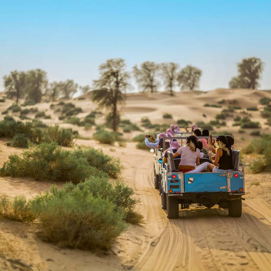 Dubai: Heritage Safari in Vintage Land Rover with Dinner - Conservation Reserve Time: Wildlife, Flora, and Real Desert Learning