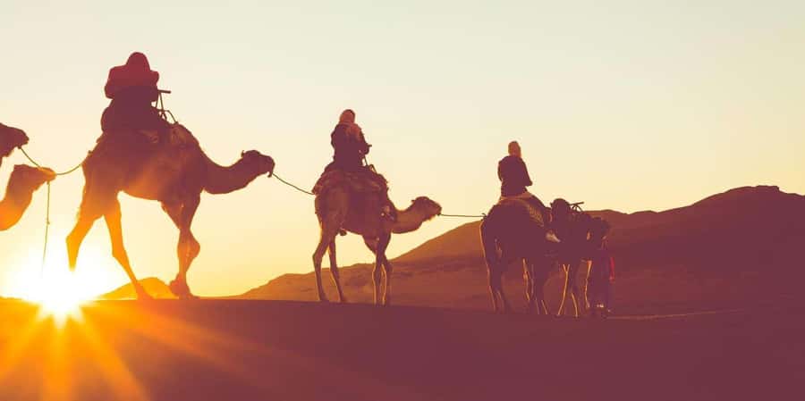 Dubai: Hot Air Balloon with Camel, ATV, & Horse Ride Options - Key highlights to expect (and why they matter)