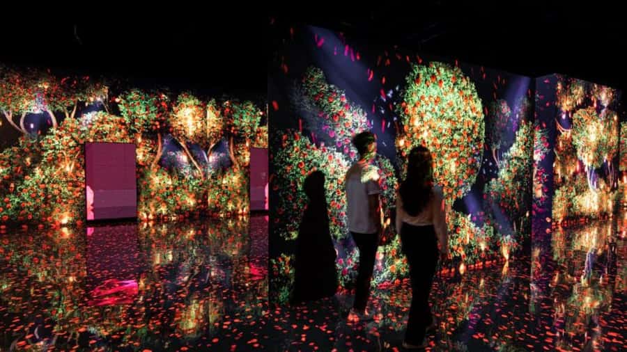 Dubai: iVenture Card Dubai Flexi Attractions Pass - Museums, tours, and shows: how to balance the thrill
