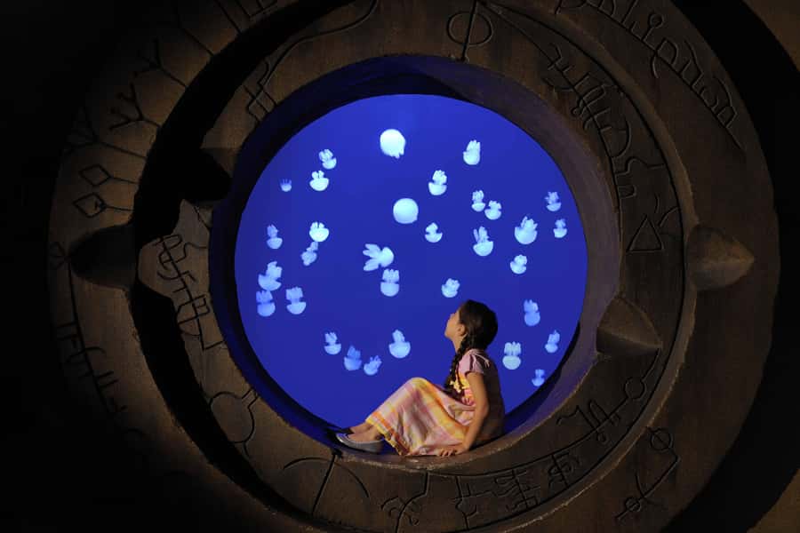 Dubai: Lost Chambers Aquarium Entry Ticket - Key Things That Make Lost Chambers Aquarium Different
